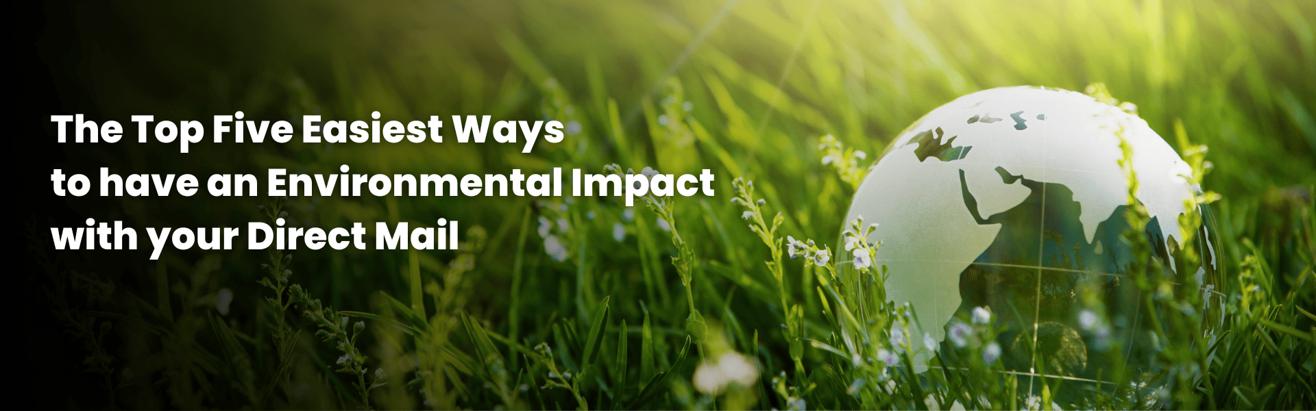 The Top Five ways to have an environmental impact with your direct mail