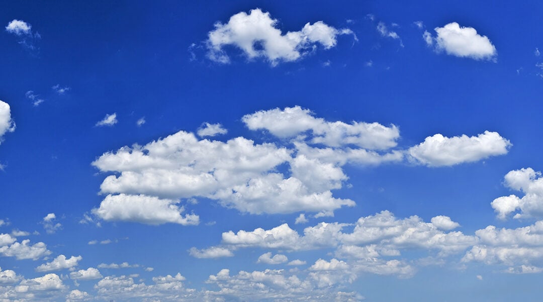 The Top 4 Easiest Ways To Have An Environmental Impact With Your Direct Mail